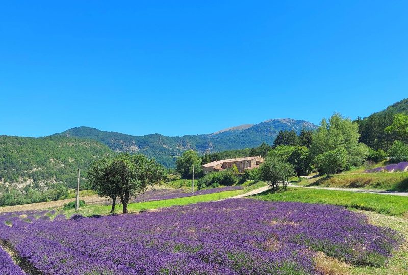 Auberge de Miélandre à Teyssières - 0