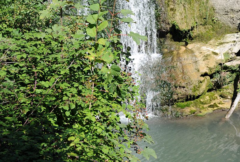 Visite Guidée  » Fontaines & Bassins  » dans le cadre de Dieulefit dans son jardin à Dieulefit - 3