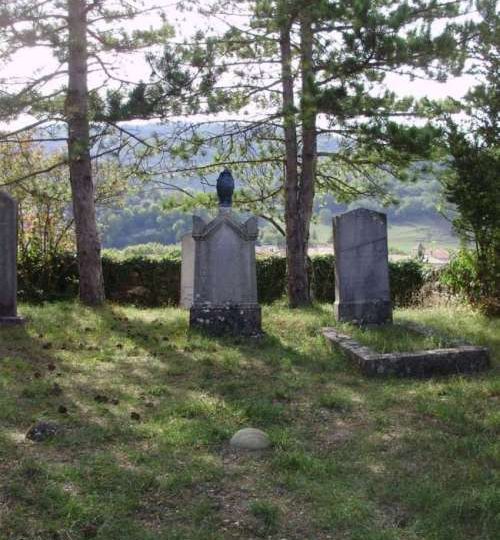 Tombe d’Alexis Muston à Bourdeaux - 0