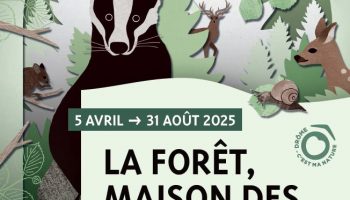 La Forêt, maison des animaux_Saoû