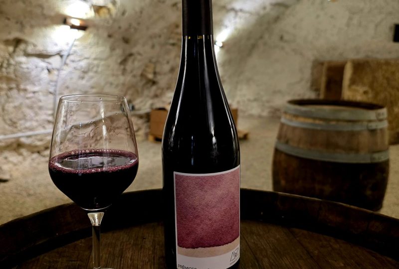 Domaine des Ayards à Roche-Saint-Secret-Béconne - 2