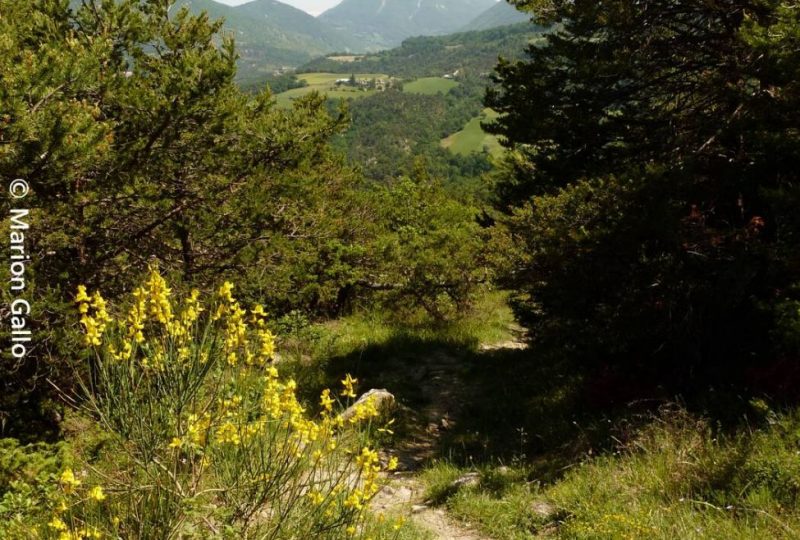 Les collines d’Orcinas à Orcinas - 1