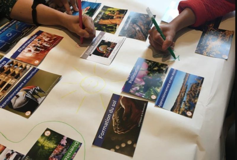 Atelier « Fresque de la biodiversité » par l’Auberge des Dauphins à Saoû - 0