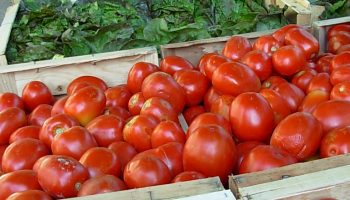 Marché Hebdomadaire – La Bégude de Mazenc