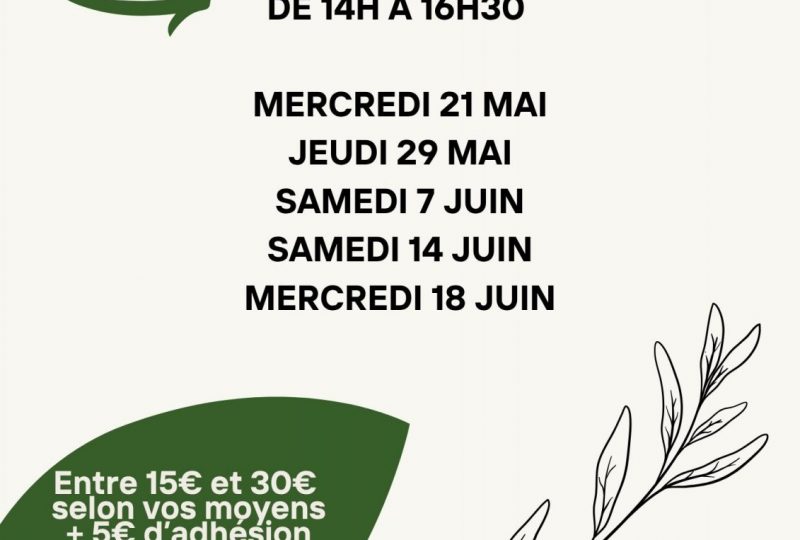 Sorties découverte Plantes et usages à Saoû - 2