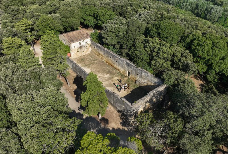 Le Parc du château de Suze-la-Rousse à Suze-la-Rousse - 0