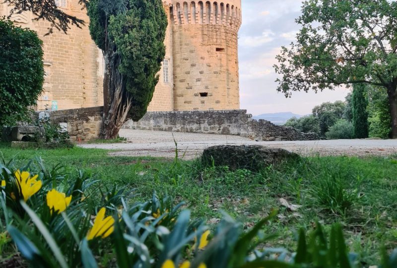 Petite histoire des végétaux du parc du château à Suze-la-Rousse - 1
