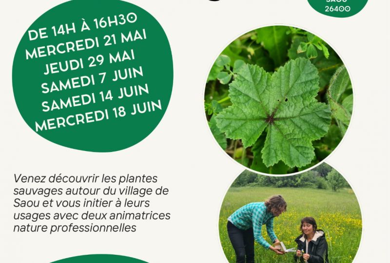 Sorties découverte Plantes et usages à Saoû - 0