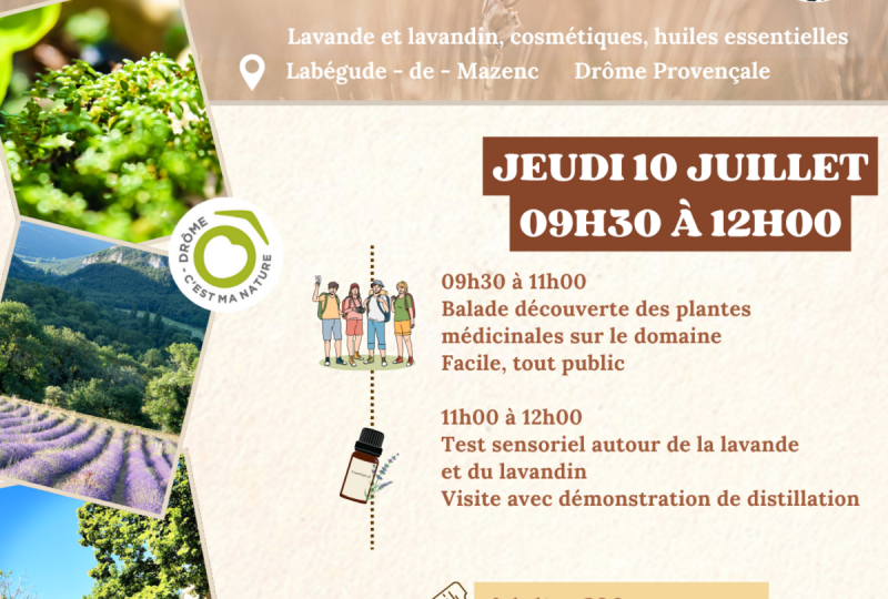 Balade plantes médicinales et lavande à La Bégude-de-Mazenc - 0