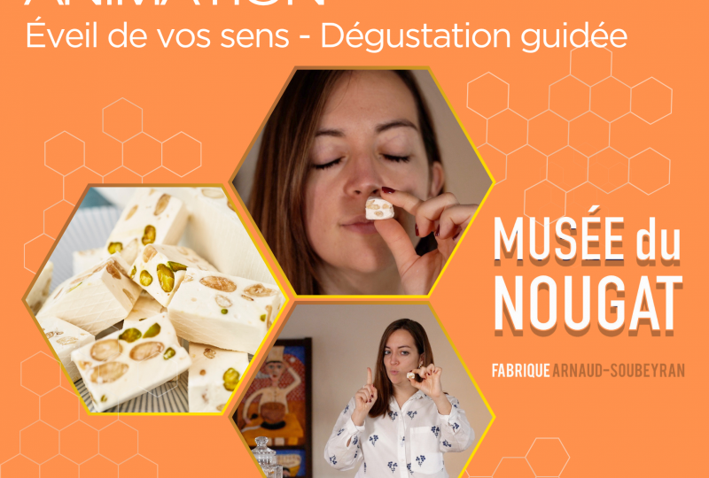 Animation : Voyage sensoriel, une dégustation qui éveille les sens à Montélimar - 0