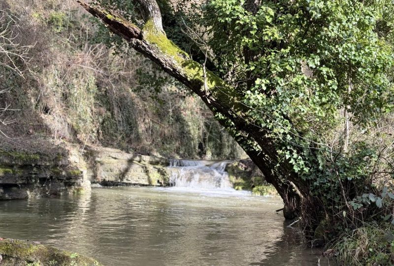 Le Moulin de Truinas à Truinas - 41