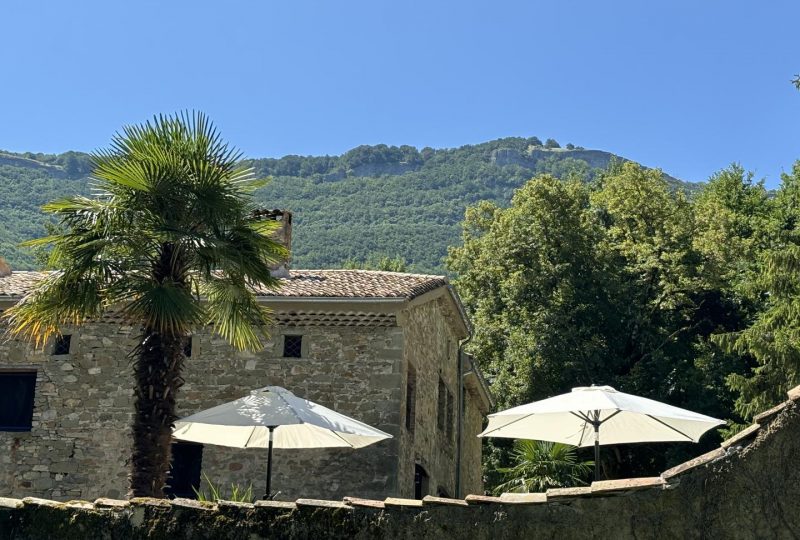 Le Moulin de Truinas à Truinas - 49