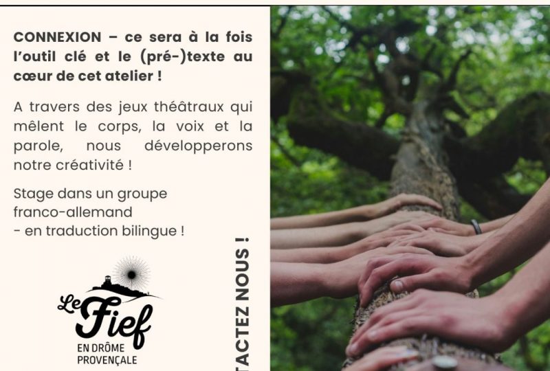 Connexion – Stage de mouvement et théâtre ludique à La Bégude-de-Mazenc - 0