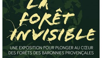 La forêt invisible_Sahune