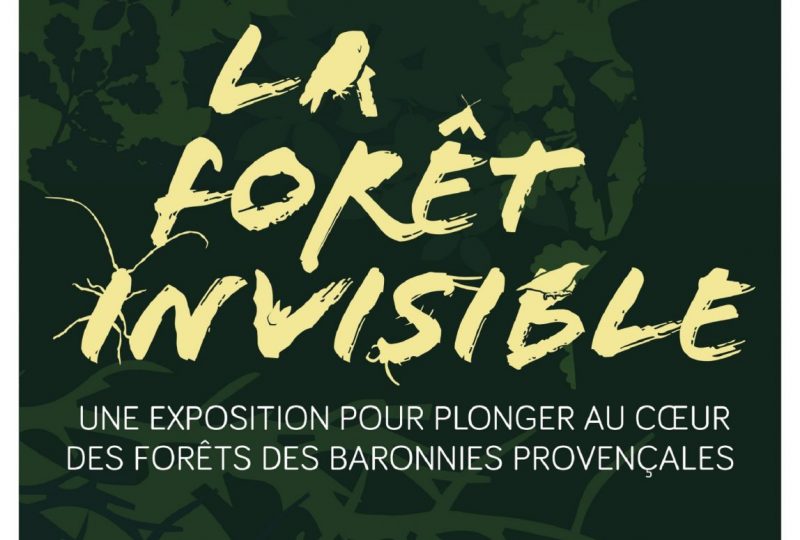 La forêt invisible à Sahune - 0