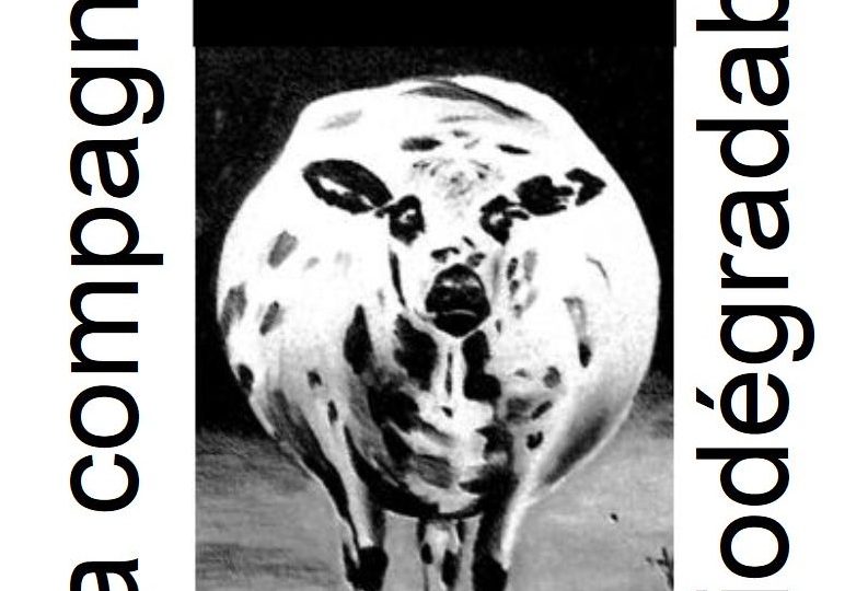 La Compagnie Biodégradable à Dieulefit - 0