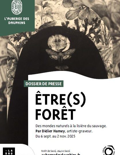 Être(s) Forêt – Didier Hamey à Saoû - 0