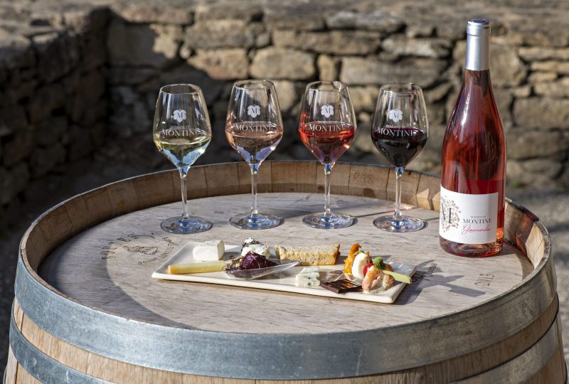 Visite de la Cave et Dégustation des vins en accord avec des fromages à Grignan - 0