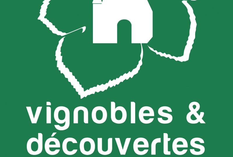 Visite Guidée de Grignan : Histoire du vin à Grignan - 1