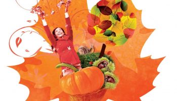 Foire d’automne_Dieulefit