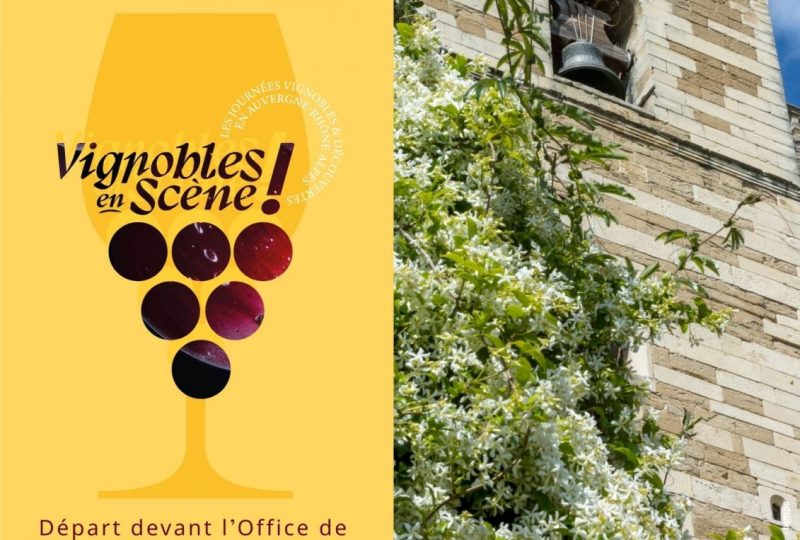 Visite guidée de Grignan : Histoire du Vin à Grignan - 0
