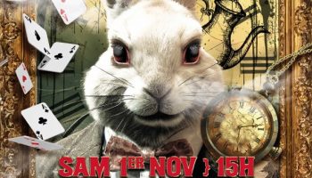 Malice in Wonderland_Dieulefit