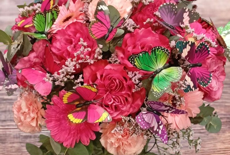 1 Brin 2 Folie à Dieulefit - 3