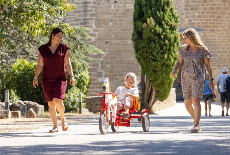 Château de Suze-la-Rousse à Suze-la-Rousse - 5