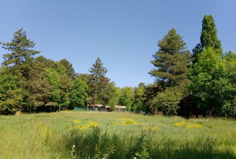 L&rsquo;ermitage du Grand Bois – Gite et Chambres d&rsquo;Hôtes à Le Poët-Célard - 9