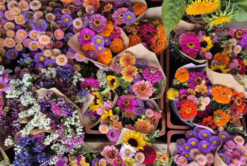 Maison Raspail – Fleurs de la Drôme à Bourdeaux - 10