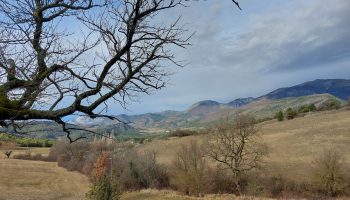 Gîte Les Collines_Crupies