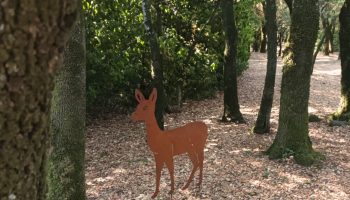 A la recherche des animaux de la garenne_Suze-la-Rousse