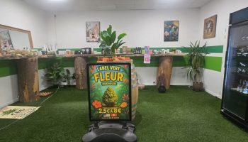Label Vert CBD Shop_Dieulefit