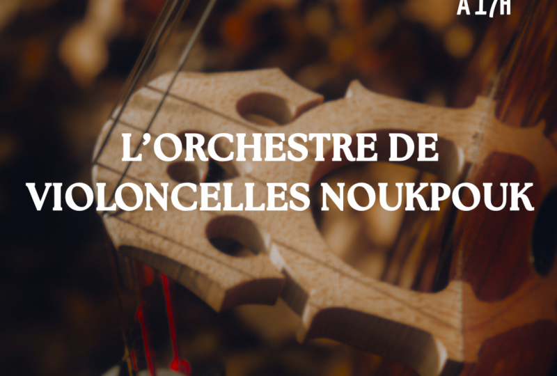 Concert de l&rsquo;Orchestre de violoncelles NoukPouk à Dieulefit - 0