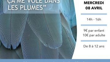 ça me vole dans les plumes_Saoû