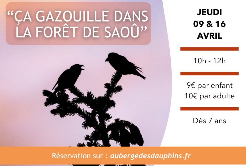 ça gazouille dans la forêt de Saoû à Saoû - 0