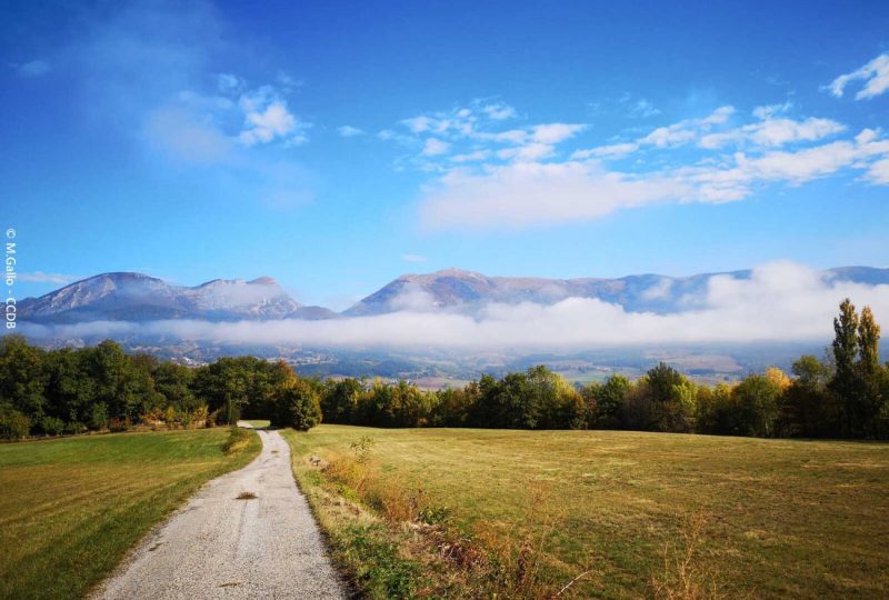 Saulnier à Bourdeaux - 0