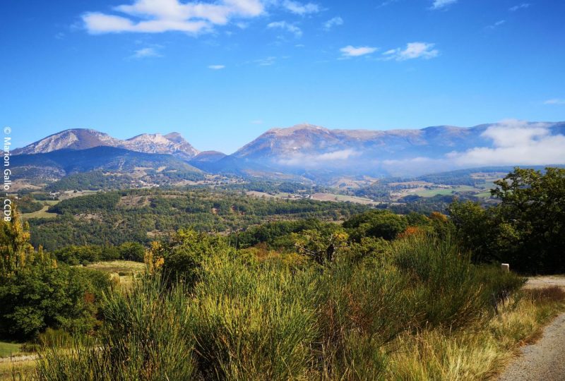 Saulnier à Bourdeaux - 1