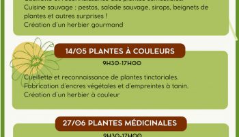 Stage plantes sauvages_Pont-de-Barret