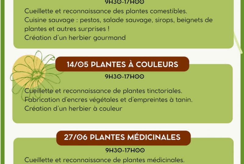 Stages plantes sauvages à Pont-de-Barret - 0