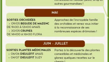 Sortie plantes sauvages : orchidées_La Bégude-de-Mazenc