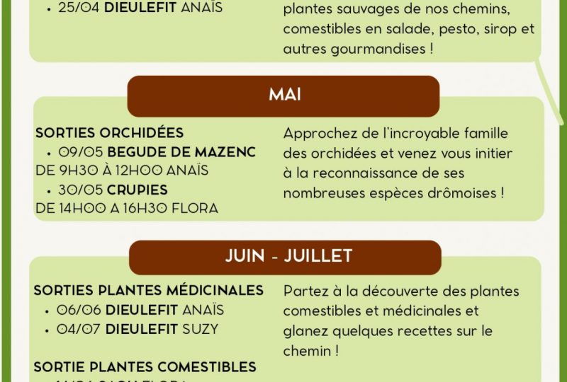 Sortie plantes sauvages : orchidées à La Bégude-de-Mazenc - 0