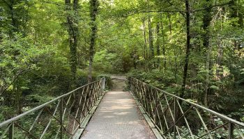 Trail 6 – Boucle des Ubacs_Dieulefit