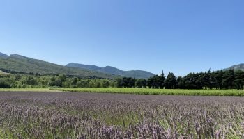 Trail 8 – Panoramique du Mont Rochas_Roche-Saint-Secret-Béconne