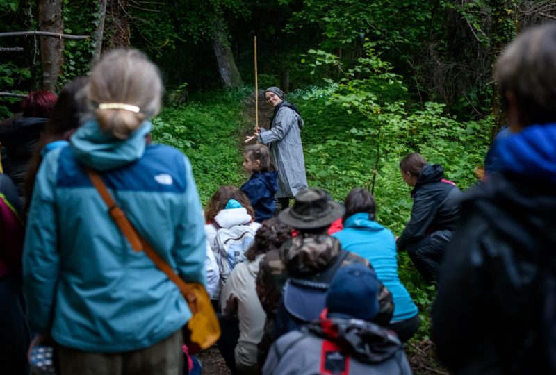 Spectacle de danse au cœur de la forêt de Saou – Lux scène nationale à Saoû - 0