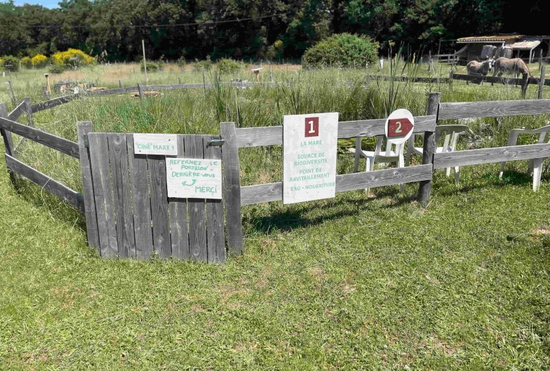 Parcours pédagogique de la pépinière de l&rsquo;Hirondelle à La Bégude-de-Mazenc - 1