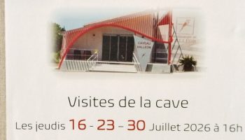 Visites cave Valléon