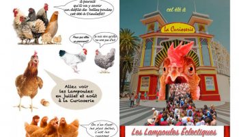 Les Lampoules Eclectiques_Dieulefit
