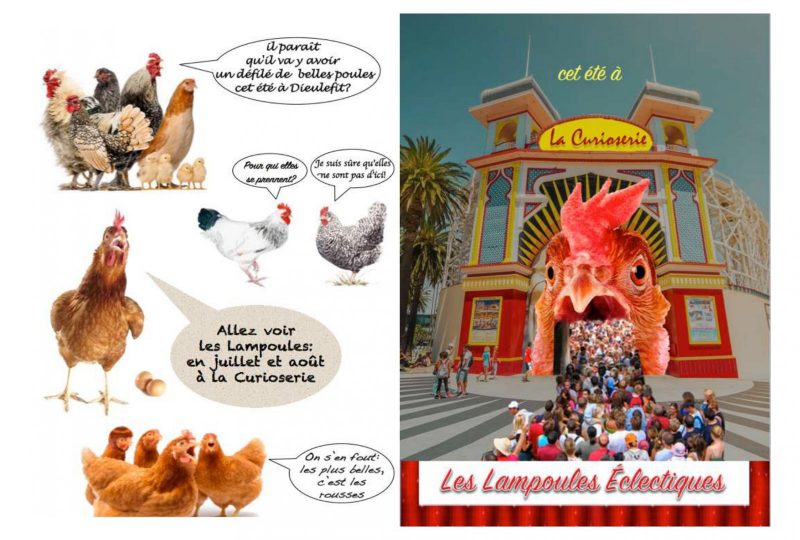 Les Lampoules Eclectiques à Dieulefit - 0