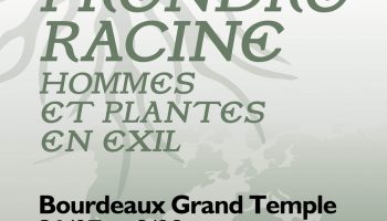 Nouvelles du conte – Exposition  : Prendre Racine_Bourdeaux